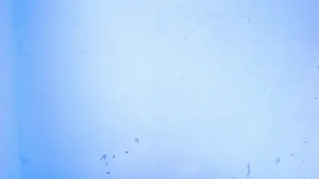 Snapshot of April_sexycurvi chatting on September 18, 7:55 am April sexycurvi online show from September 18, 7:55 am