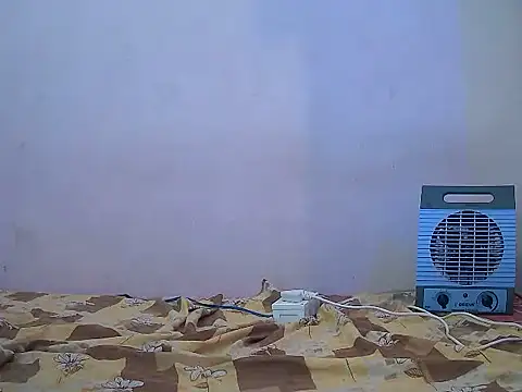 naina-80 online show from February 10, 6:45 am