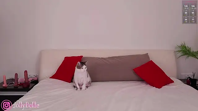 jolly bellle online show from October 26, 1:17 am