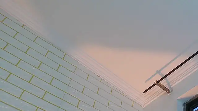 NYX1126 online show from November 6, 12:31 pm