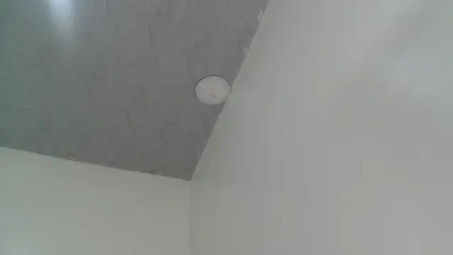 Full Fist online show from January 10, 2:23 pm