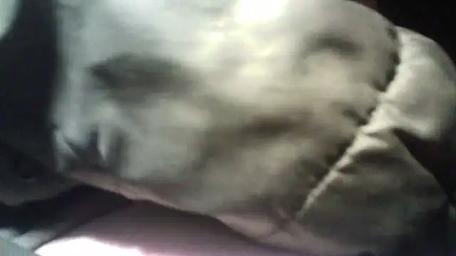 Snapshot of oliveirinhafotografo chatting on March 5, 10:54 pm oliveirinhafotografo online show from March 5, 10:54 pm