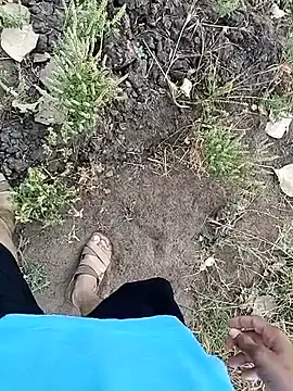 Piyush 2024 online show from April 3, 2:18 am