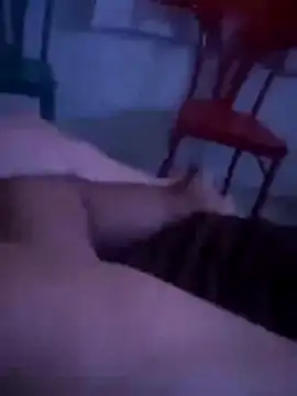 Snapshot of Malubrotudo chatting on February 1, 11:25 pm Malubrotudo online show from February 1, 11:25 pm