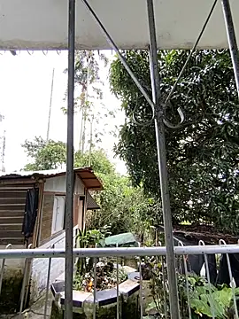 Jestebanano online show from May 4, 4:54 pm