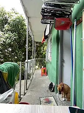 Jestebanano online show from May 11, 2:40 pm