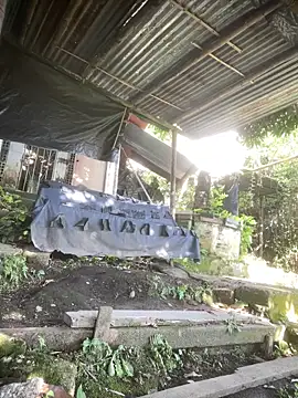 Jestebanano online show from April 12, 9:40 pm