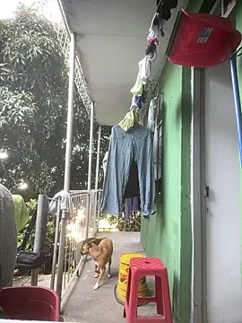 Jestebanano online show from April 14, 12:54 pm