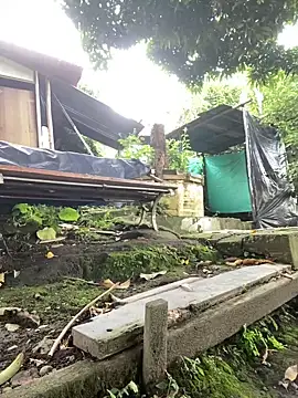 Snapshot of Jestebanano chatting on October 2, 12:41 pm Jestebanano online show from October 2, 12:41 pm