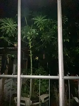 Snapshot of Jestebanano chatting on September 18, 12:57 am Jestebanano online show from September 18, 12:57 am