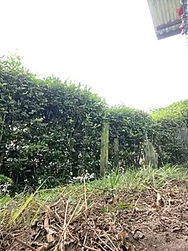 Snapshot of Jestebanano chatting on November 29, 3:12 pm Jestebanano online show from November 29, 3:12 pm