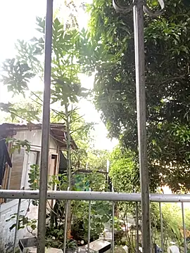 Snapshot of Jestebanano chatting on September 22, 12:00 pm Jestebanano online show from September 22, 12:00 pm