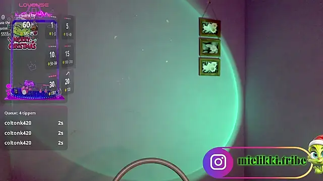 mielikki001 online show from January 1, 5:43 am