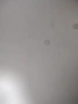 geilerschwanz64 online show from October 30, 11:34 pm