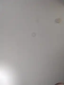 geilerschwanz64 online show from October 10, 6:03 am