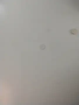 geilerschwanz64 online show from November 13, 10:02 pm