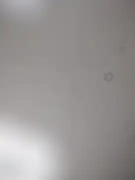 geilerschwanz64 online show from October 25, 8:20 pm