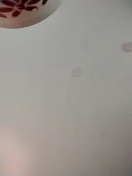 geilerschwanz64 online show from November 9, 1:53 am