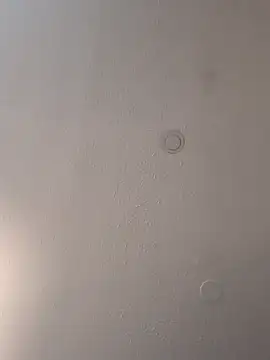 geilerschwanz64 online show from March 18, 3:55 pm