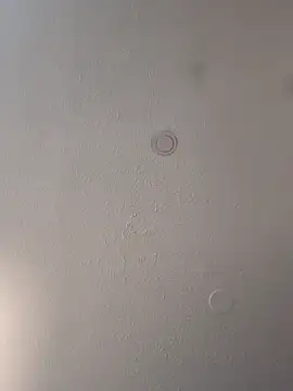 geilerschwanz64 online show from March 12, 4:46 pm