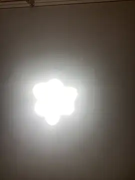 Janet Welder online show from July 17, 10:51 pm
