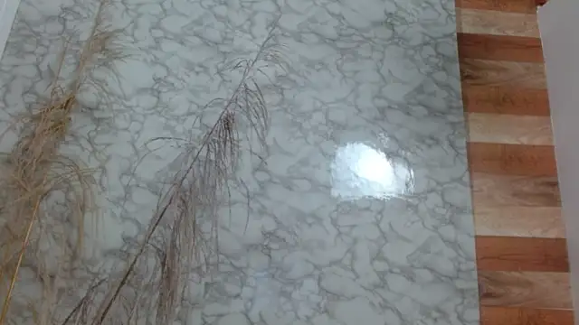 allysonn fox online show from February 6, 10:53 pm