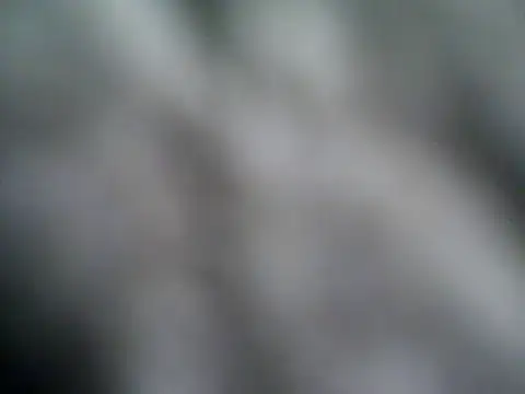 rootsf online show from November 3, 3:23 am