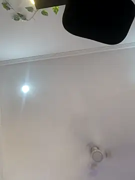 Archi-07 online show from October 24, 8:13 am