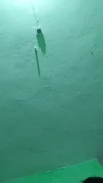 RADHAHO online show from October 9, 7:25 pm