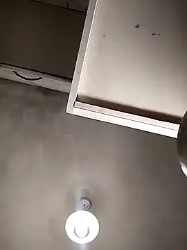 Bellatriz-horse online show from February 8, 5:27 am