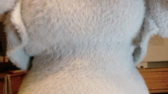 Snapshot of _Yui_ chatting on October 18, 2:08 pm Yui online show from October 18, 2:08 pm