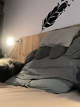 bogland33 online show from January 9, 7:43 pm