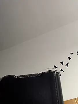 bogland33 online show from March 5, 8:00 am