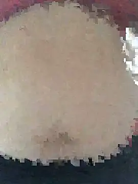 ahross online show from April 8, 9:33 am