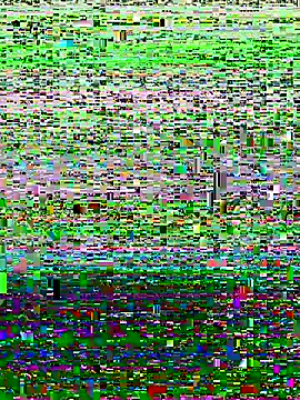 ahross online show from September 22, 10:10 am