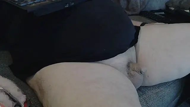 bud4party online show from November 30, 2:45 am