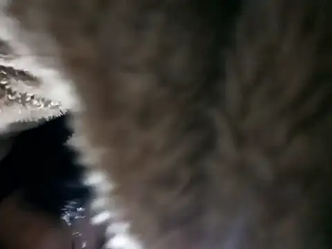 Elvishcassie  online show from January 6, 10:14 pm