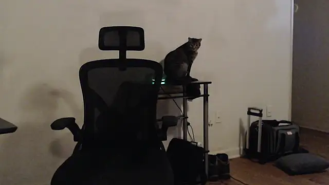 Pilot Dave 69 online show from January 18, 11:21 am