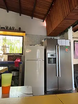 Leo bunny hot online show from October 31, 6:15 pm