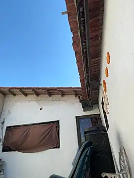 Leo bunny hot online show from November 13, 7:18 pm