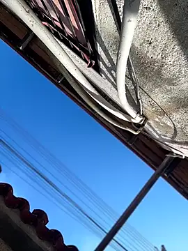 Leo bunny hot online show from February 13, 8:20 pm