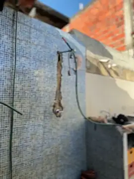 Leo bunny hot online show from February 3, 8:58 pm