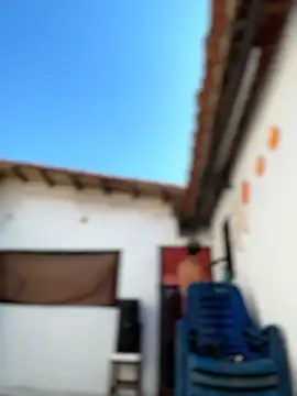 Leo bunny hot online show from February 6, 7:21 pm