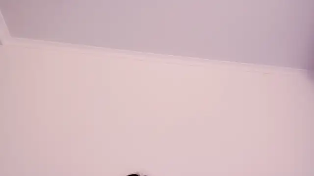 amelia sunlight online show from March 23, 3:12 pm