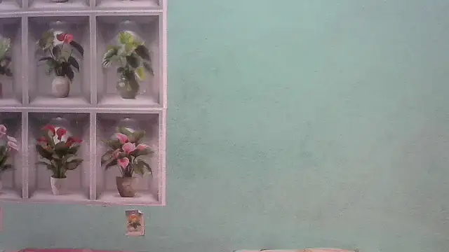 nanhi munni online show from February 19, 1:46 am