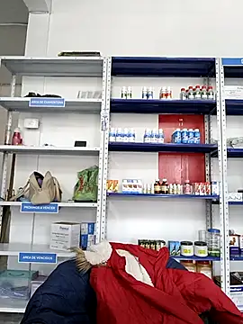 Megan jennerr online show from November 5, 3:04 pm