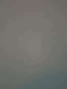 ADilil online show from February 4, 9:37 am