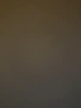 ADilil online show from December 20, 6:38 am