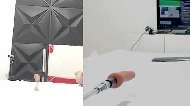 Lisa goals online show from February 20, 12:47 pm