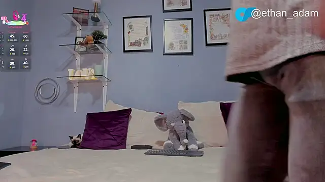 ETHAN ADAM online show from February 5, 12:50 am